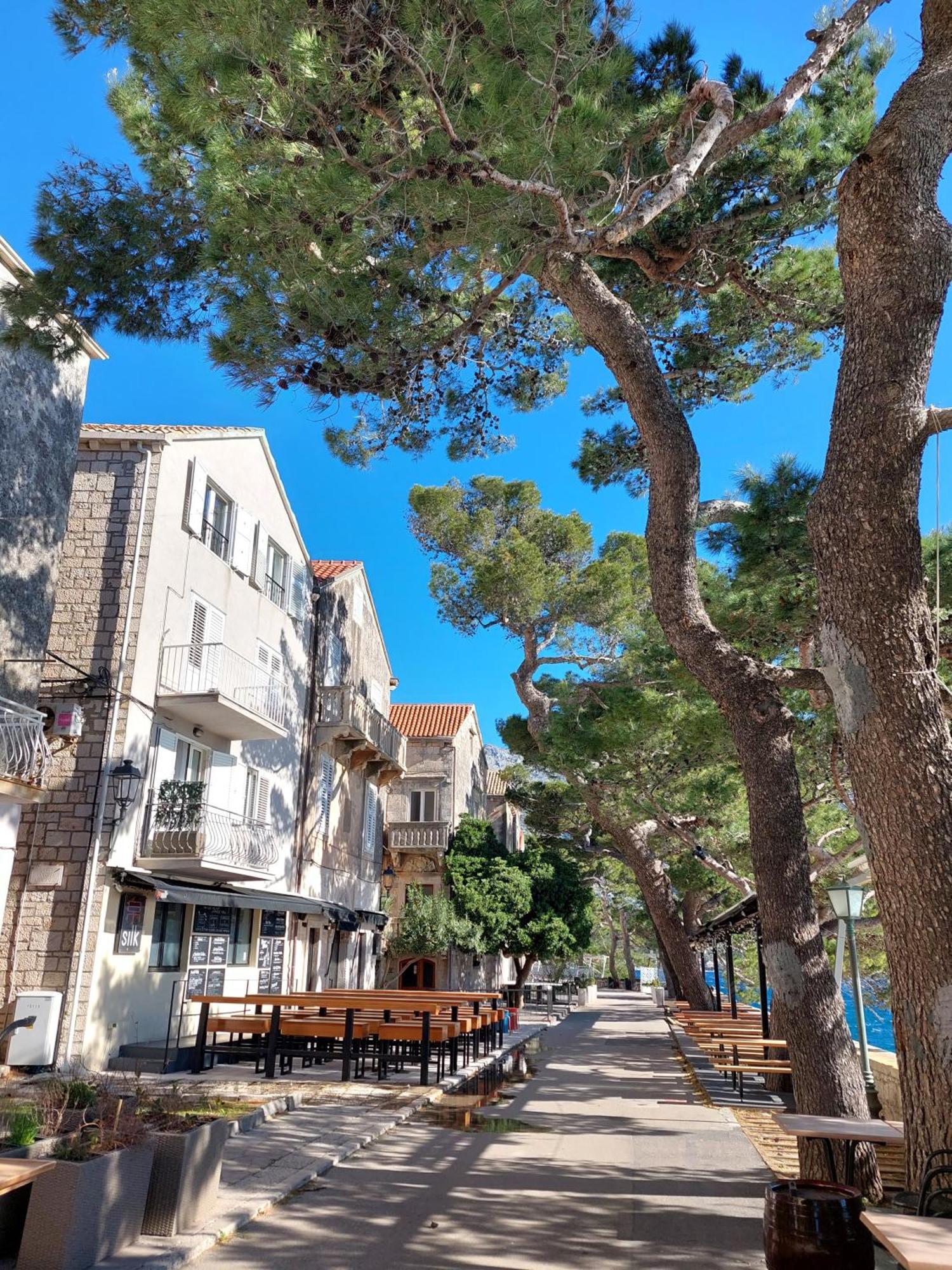 Apartment 科尔丘拉 外观 照片